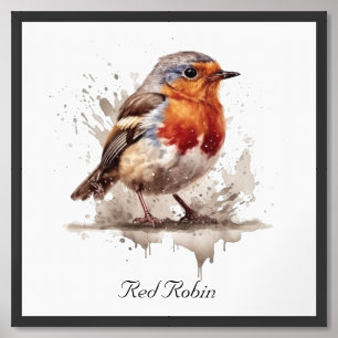 Cute bird red robin in watercolor, customizable framed art