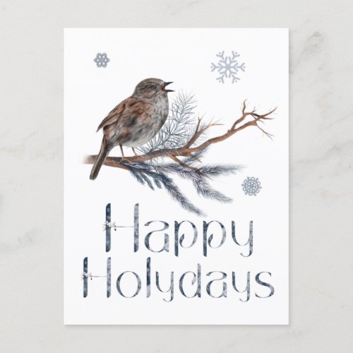 Cute Bird Sits On A Pine Branch And Sings Postcard