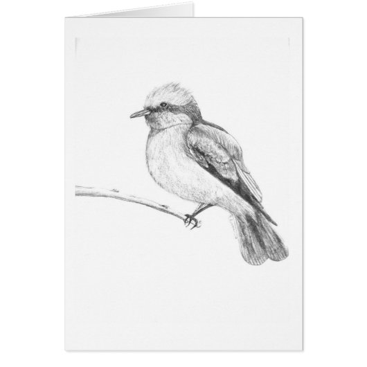 Cute Bird that catches everyone's attention. Cards (Front)