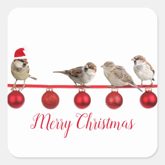 Cute Bird With Santa Hat Merry Christmas    Square Sticker (Front)