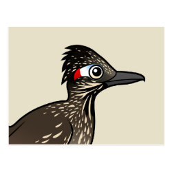 Greater Roadrunner Postcard