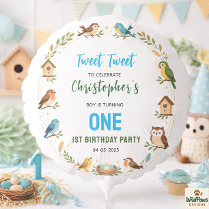 Cute Birds 1st Birthday Party – Fun Kids Balloon