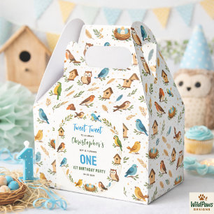 Cute Birds 1st Birthday Party – Fun Kids Favor Boxes