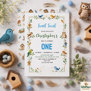 Cute Birds 1st Birthday Party – Fun Kids Invitation