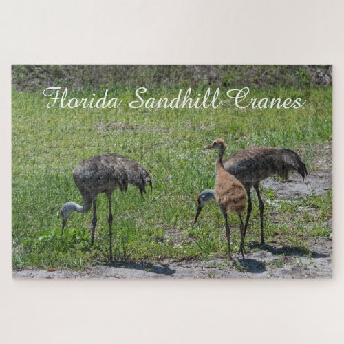 Cute Birds Florida Sandhill Crane Scenic Nature  Jigsaw Puzzle
