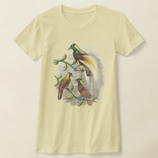  Cute birds women tshirts (Laydown)