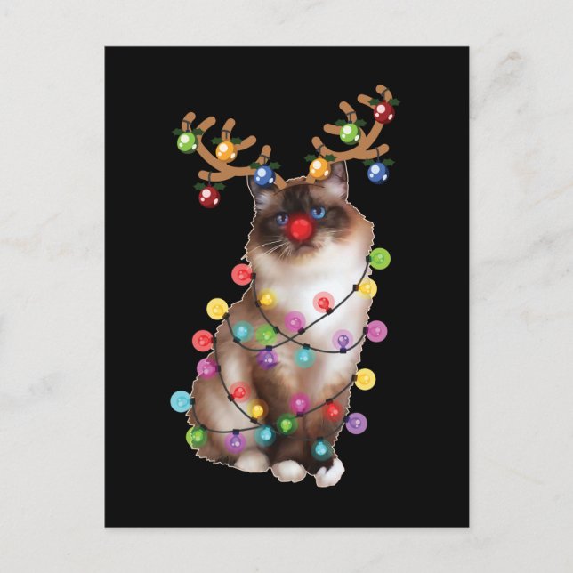 Cute Birman Cat Funny Christmas Holiday Gifts Postcard (Front)