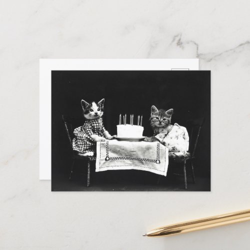 Cute Birthday Cake Cats Postcard