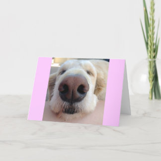 Cute Birthday Card