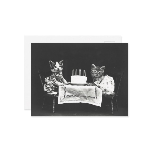 CUTE BIRTHDAY CAT VINTAGE POSTCARD (Front/Back In Situ)