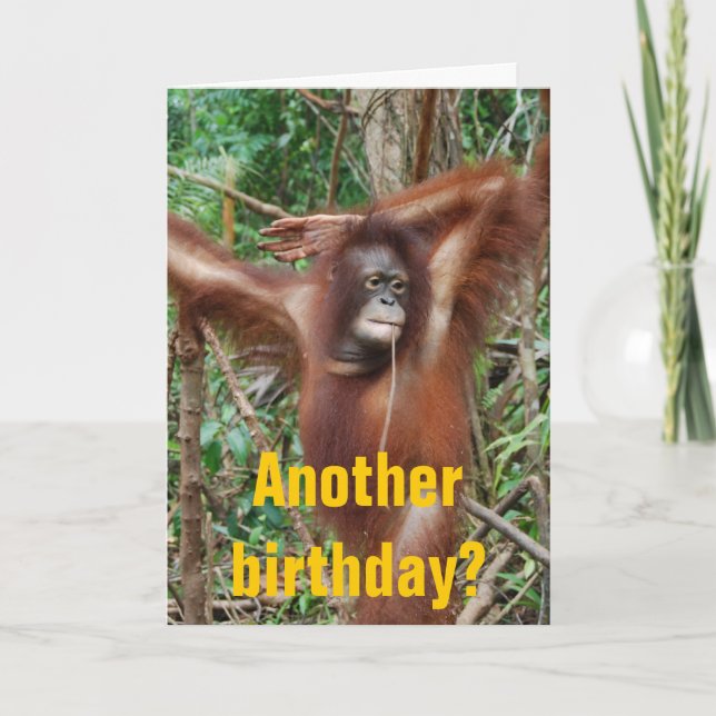 Cute Birthday Humor Card (Front)