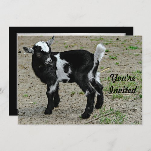 Cute Black and White Baby Goat Photo Birthday Invitation