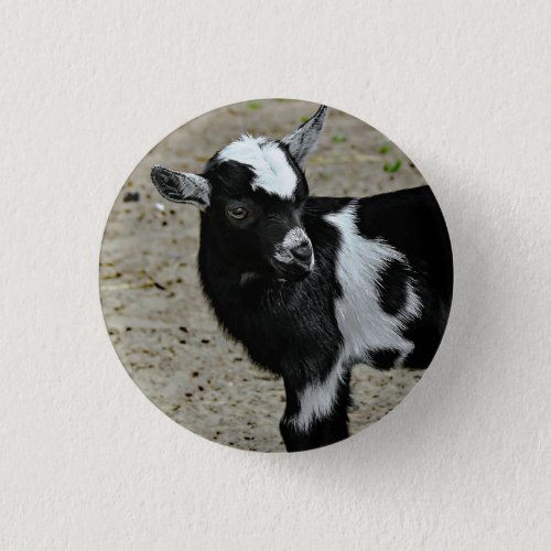 Cute Black and White Baby Goat Photo Button