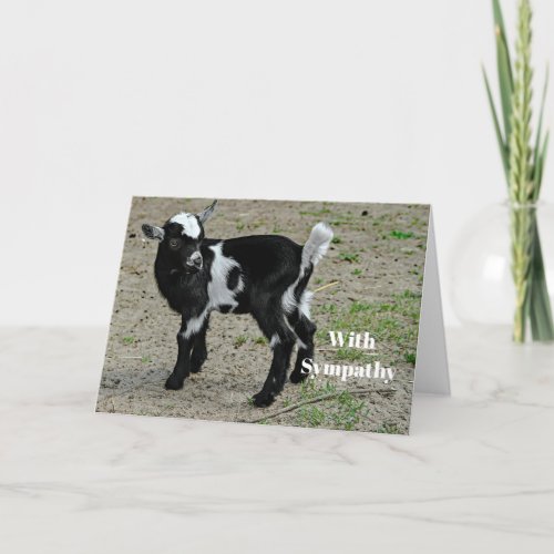 Cute Black and White Baby Goat Photo Sympathy Card