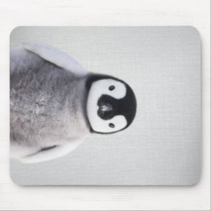 Cute Black And White Baby Penguin Mouse Pad