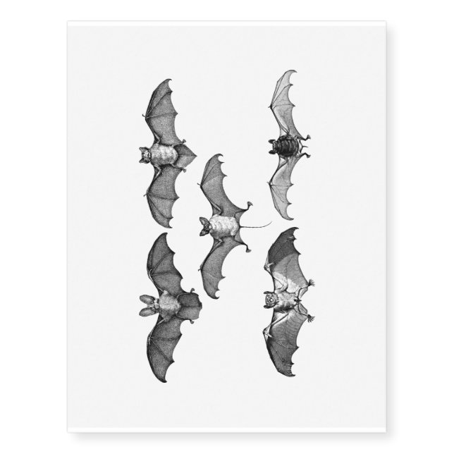 Cute Black And White Bats Temporary Tattoos (Front)