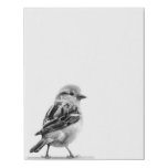 Cute Black and White Bird Photography Faux Canvas Print