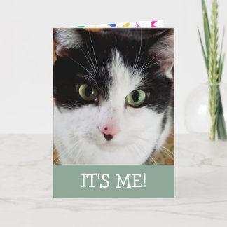 Cute Black And White Cat Birthday Card