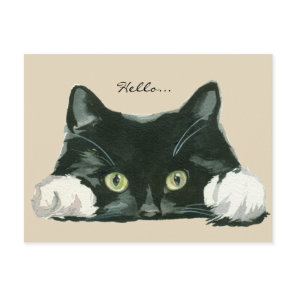 cute black and white cat hello postcard