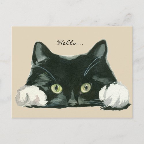 cute black and white cat hello postcard