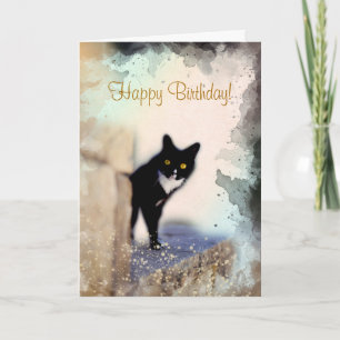 Cute Black and White Cat Personalized Pet Birthday Card