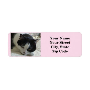Cute Black and White Cat Photo Label