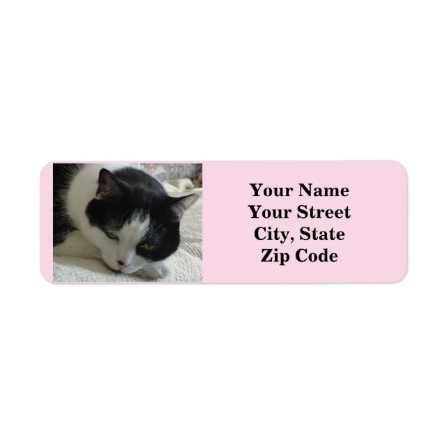 Cute Black and White Cat Photo Label (Front)