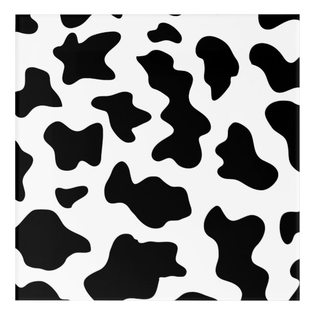 cute  black and white farm dairy cow print acrylic print (Front)