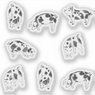 Cute black and white hand drawn pig with cow spots sticker