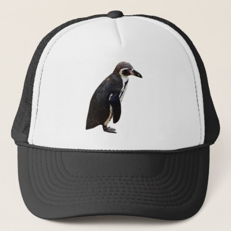 Cute Black And White Humboldt Penguin Hat