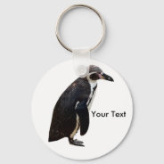 Cute Black And White Humboldt Penguin Keyring at Zazzle