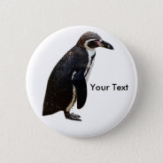 Cute Black And White Humboldt Penguin Name Tag Pinback Button at Zazzle