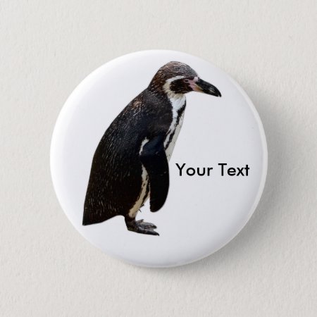 Cute Black And White Humboldt Penguin Name Tag Pinback Button