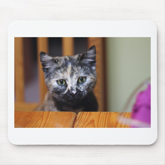 Cute Black and White Kitten Mouse Pad (Front)