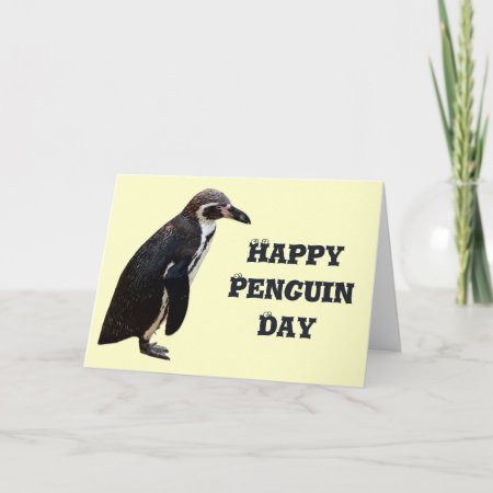 Cute Black And White Penguin Birthday Card