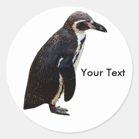 Cute Black And White Penguin Sticker Name Tag