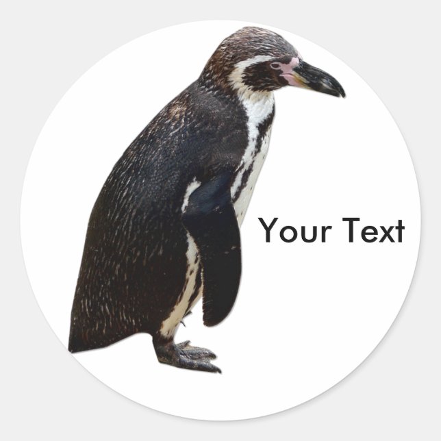 Cute Black and White Penguin Sticker Name Tag (Front)