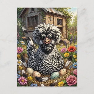 Cute Black and White Polish Chicken Postcard