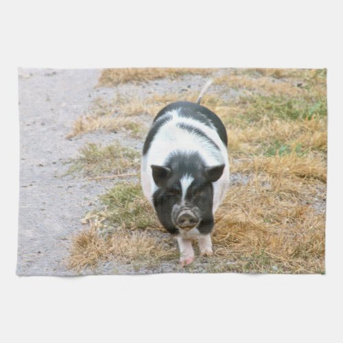 Cute Black and White Potbelly Pig Photo Kitchen Towel