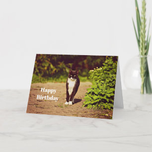 Cute Black and White Tuxedo Cat Photo Birthday Card