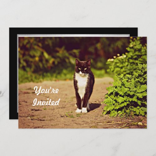 Cute Black and White Tuxedo Cat Photo Birthday Invitation