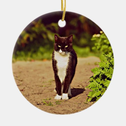 Cute Black and White Tuxedo Cat Photo Ceramic Ornament