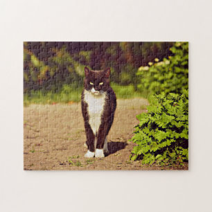 Cute Black and White Tuxedo Cat Photo Jigsaw Puzzle