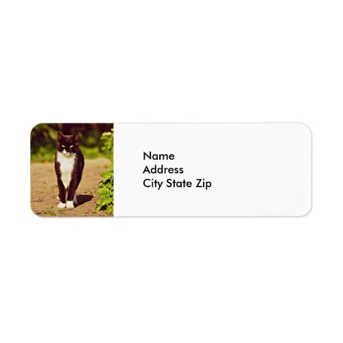 Cute Black and White Tuxedo Cat Photo Label