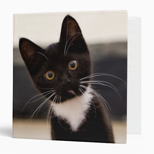 Cute Black And White Tuxedo Kitten Binder