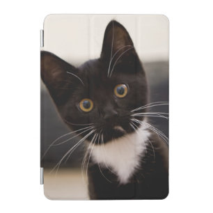 Cute Black And White Tuxedo Kitten iPad Mini Cover