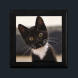 Cute Black And White Tuxedo Kitten Keepsake Box<br><div class="desc">Tuxedo Kitten Stare</div>