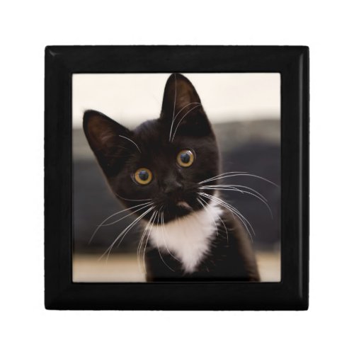 Cute Black And White Tuxedo Kitten Keepsake Box