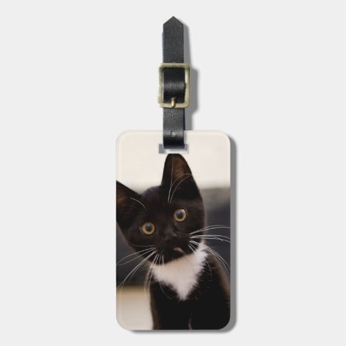 Cute Black And White Tuxedo Kitten Luggage Tag