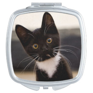 Cute Black And White Tuxedo Kitten Mirror For Makeup